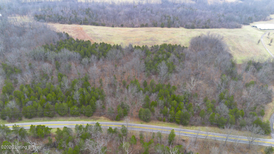 Listing Image 14