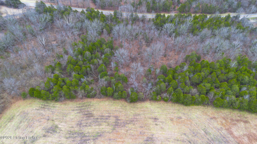 Listing Image 28