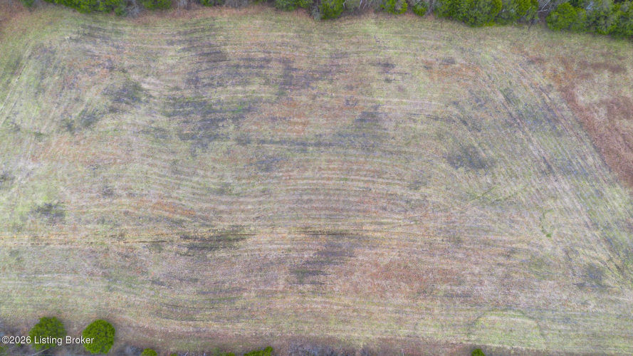 Listing Image 29
