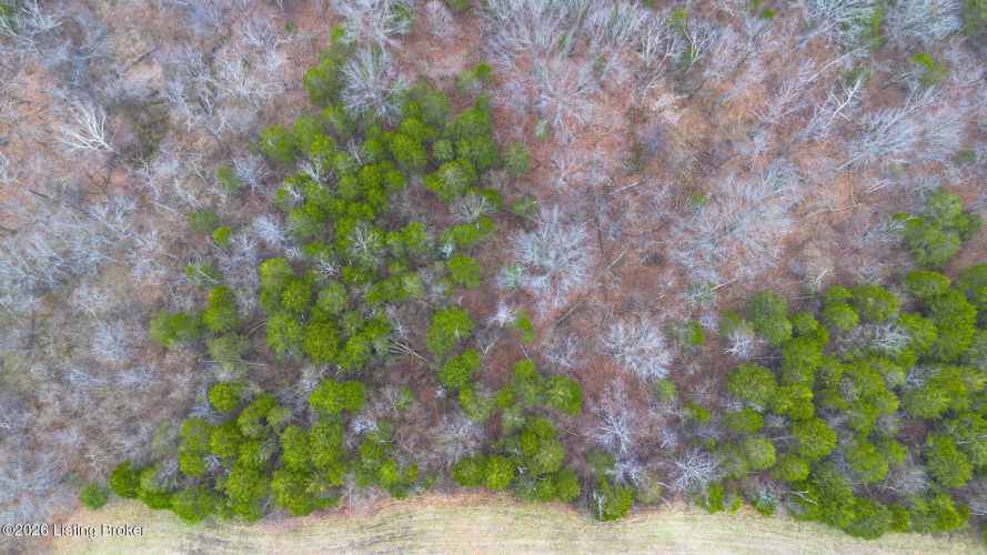 Listing Image 30