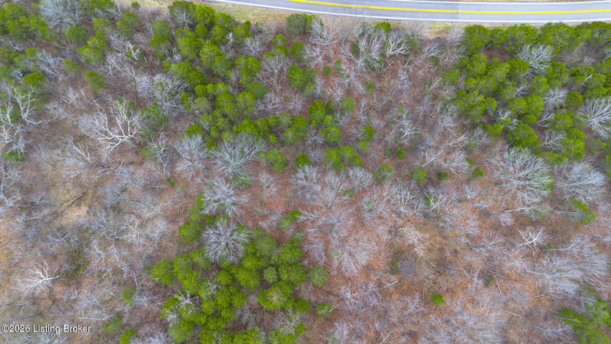 Listing Image 31