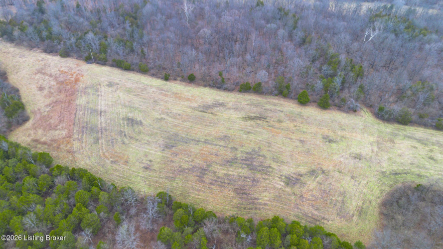 Listing Image 33