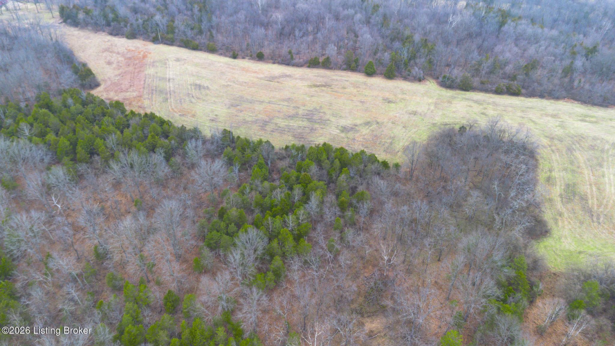 Listing Image 35