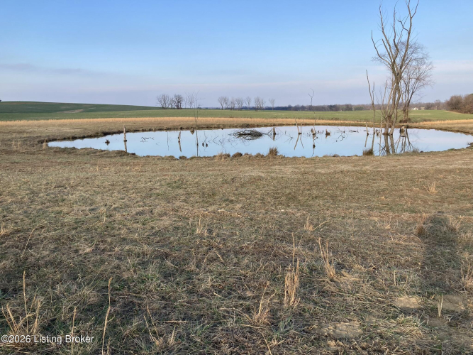 Listing Image 33