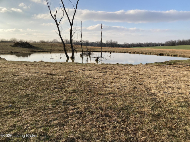 Listing Image 34