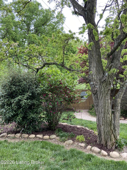 Listing Image 54