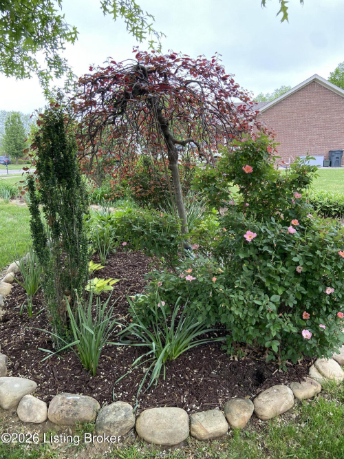 Listing Image 55