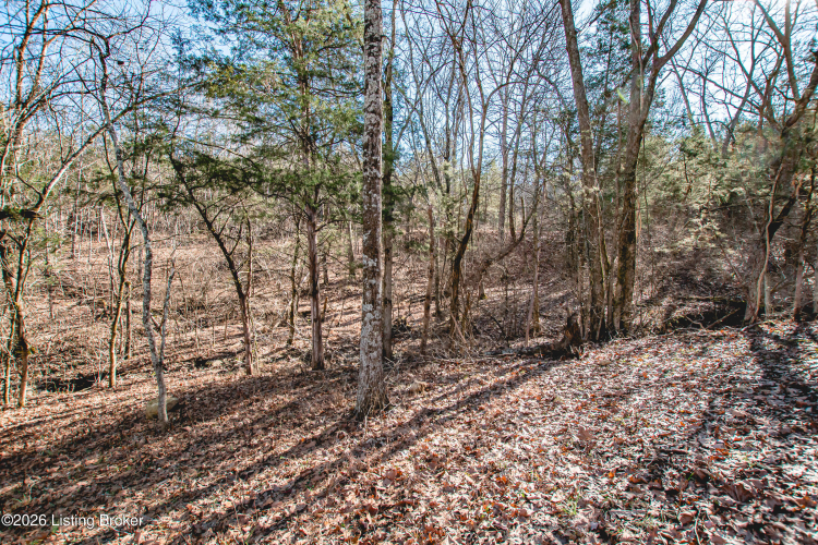 Listing Image 43