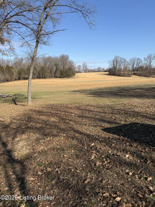 Listing Image 28