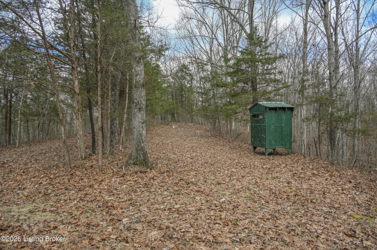 Listing Image 26
