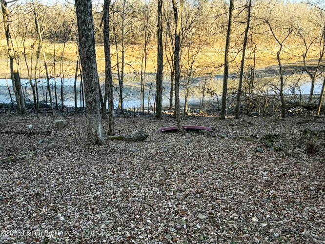 Listing Image 19