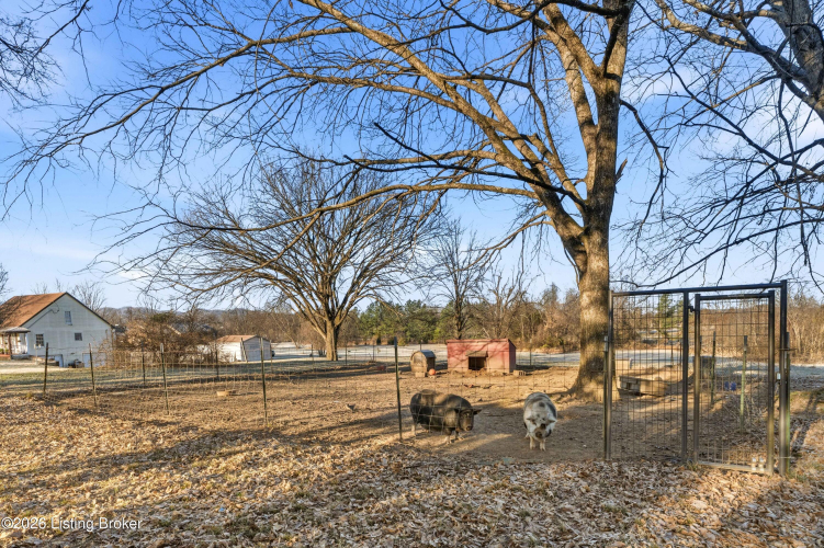 Listing Image 69