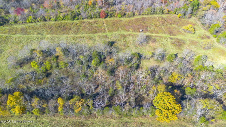 Listing Image 69