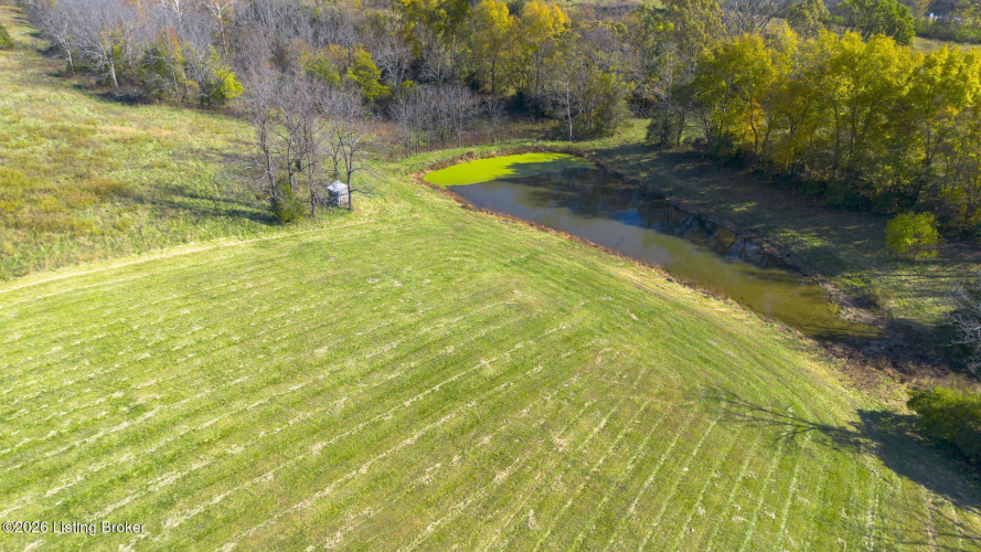 Listing Image 72