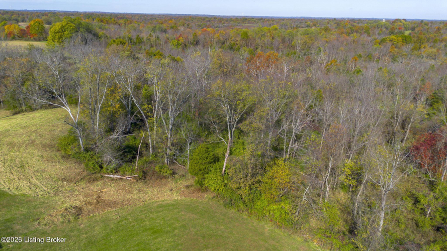 Listing Image 73