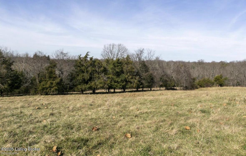 Listing Image 80