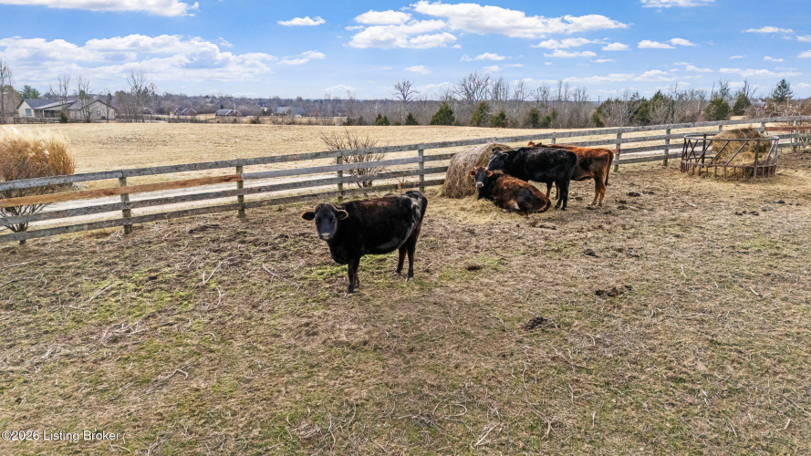 Listing Image 79