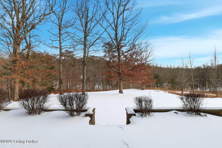 Listing Image 64