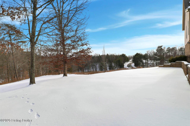 Listing Image 65