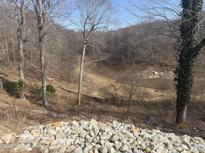 Listing Image 40