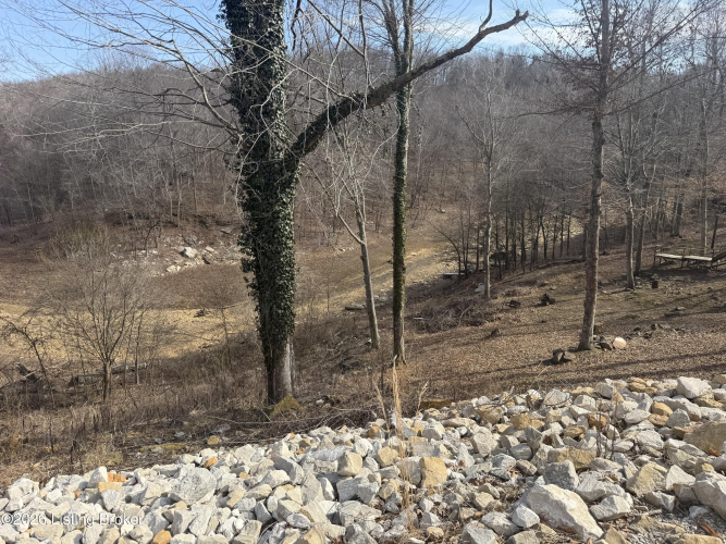 Listing Image 41