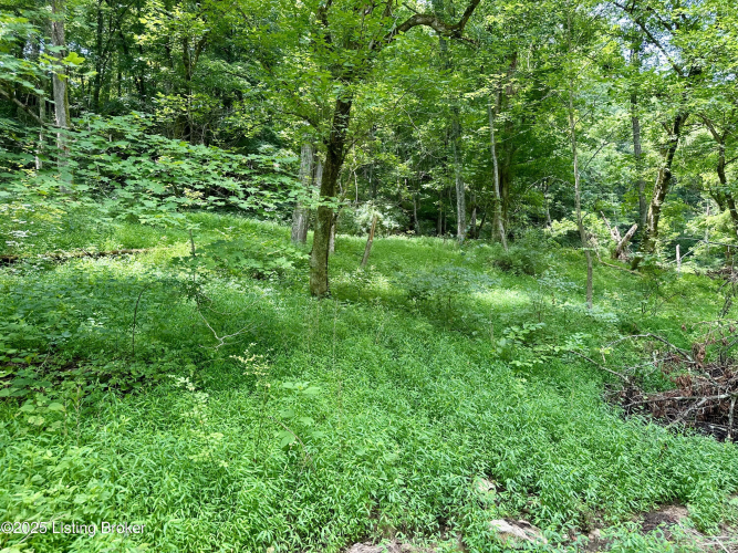 Listing Image 27