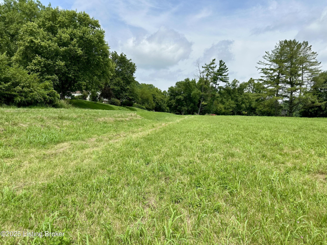 Listing Image 34