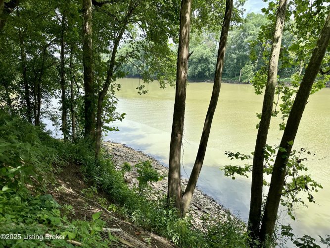 Listing Image 42