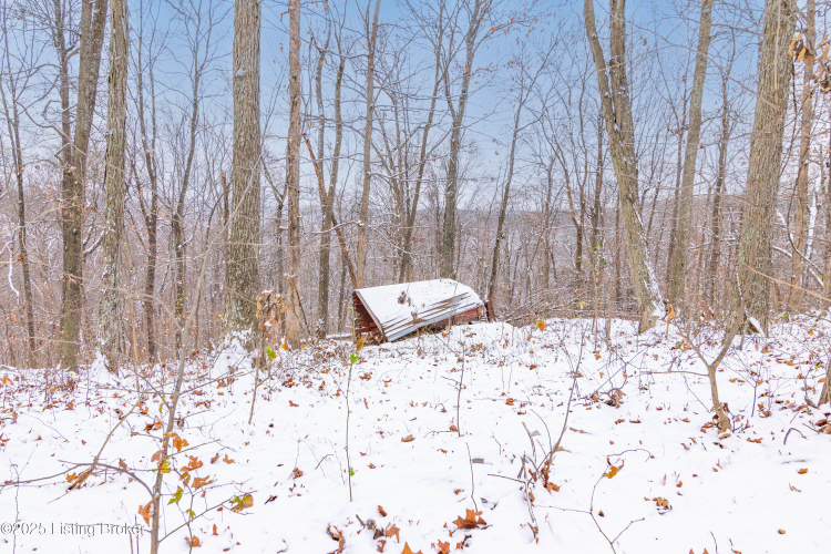 Listing Image 13