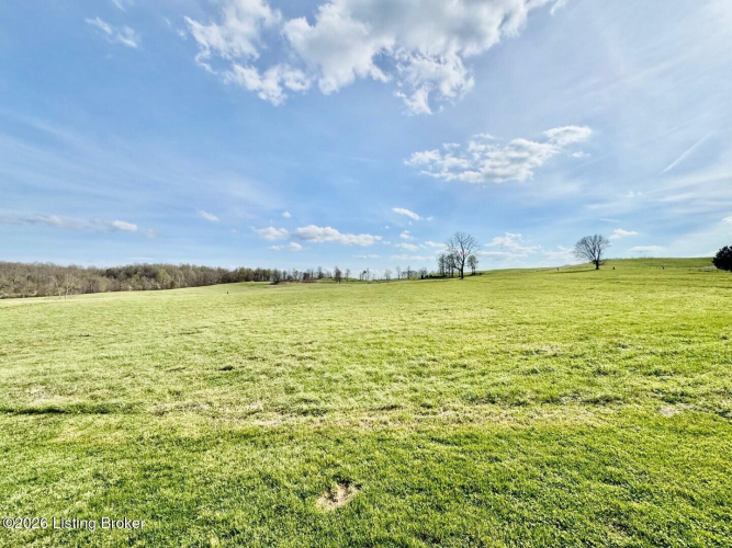 Listing Image 42