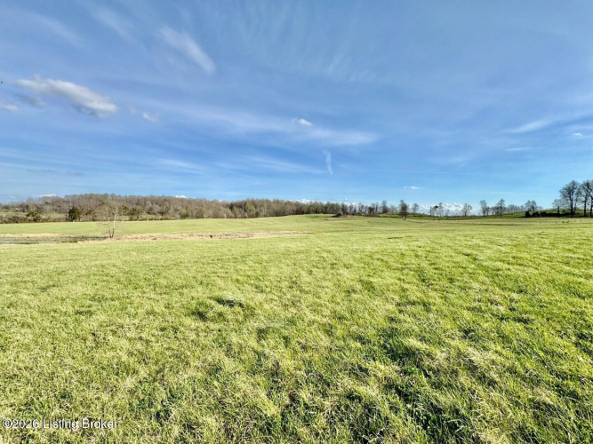 Listing Image 43