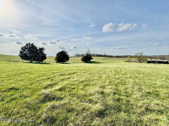Listing Image 45