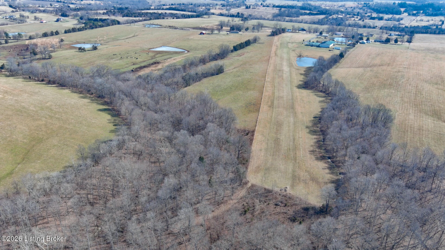 Listing Image 89