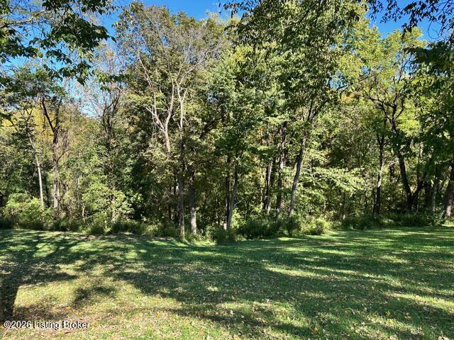 Listing Image 101