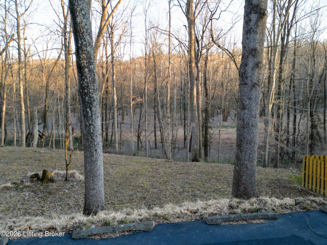 Listing Image 50