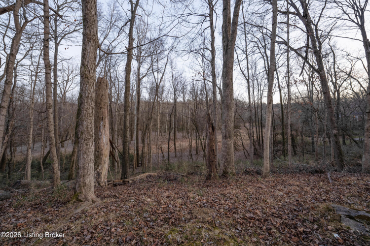 Listing Image 52