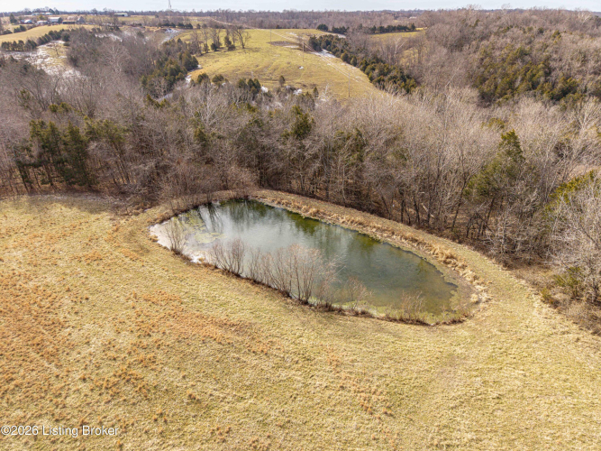 Listing Image 49