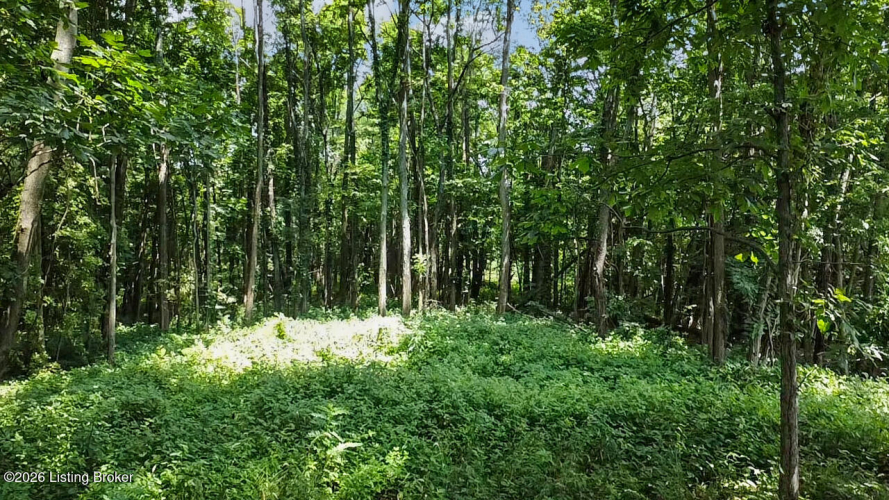 Listing Image 13