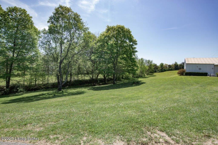 Listing Image 98