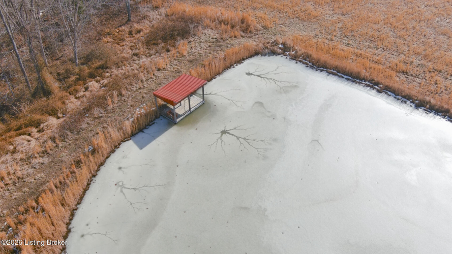 Listing Image 41