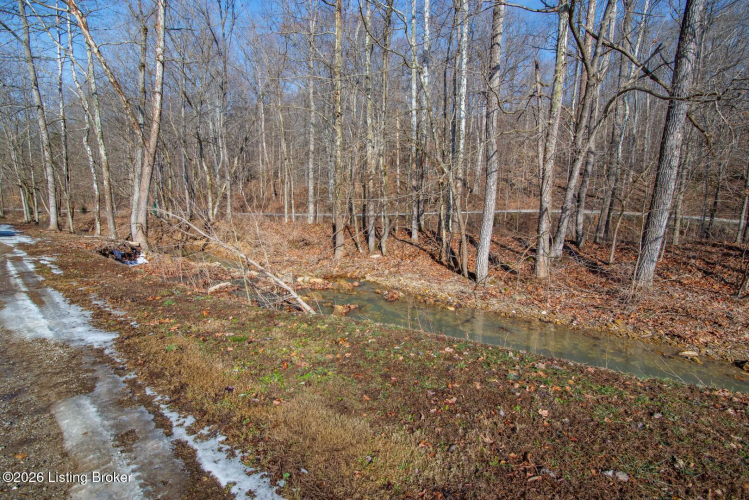 Listing Image 49
