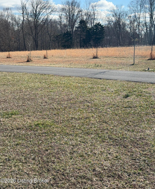 Listing Image 67
