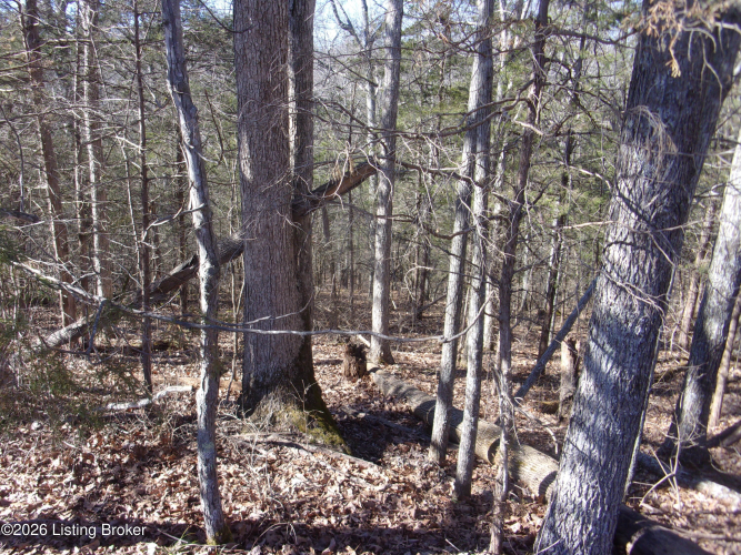 Listing Image 17