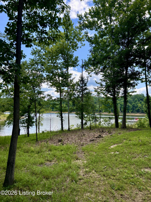 Listing Image 76