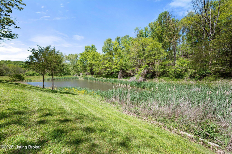 Listing Image 43