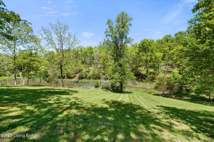 Listing Image 62