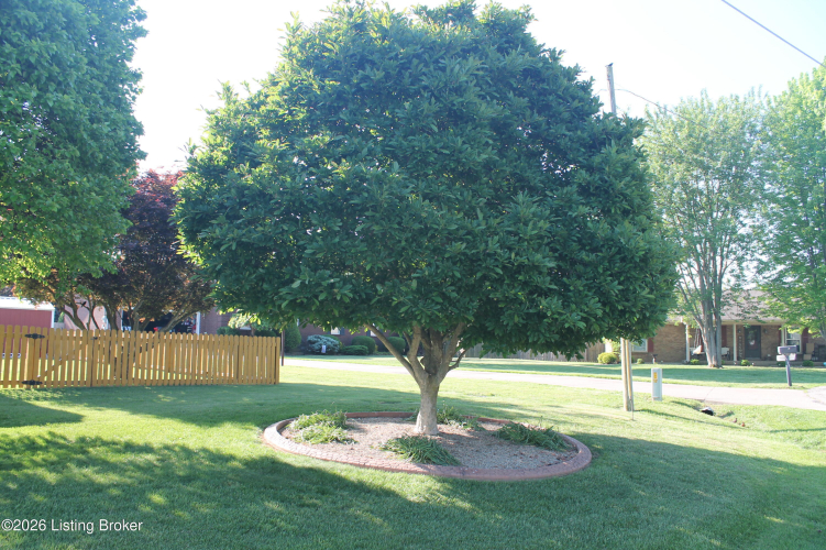 Listing Image 21