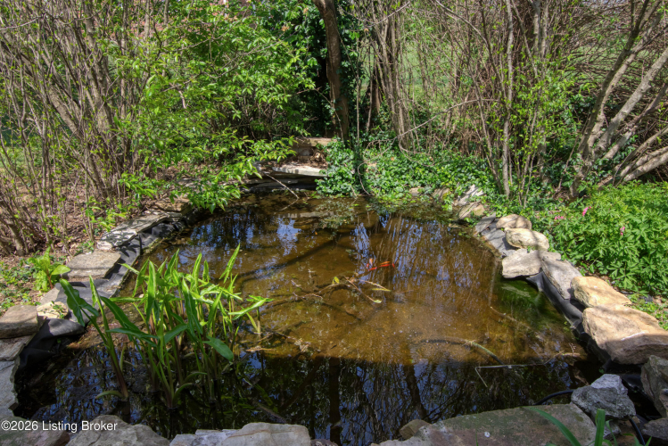 Listing Image 32