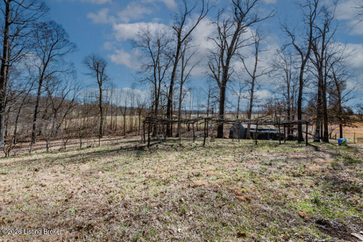 Listing Image 21