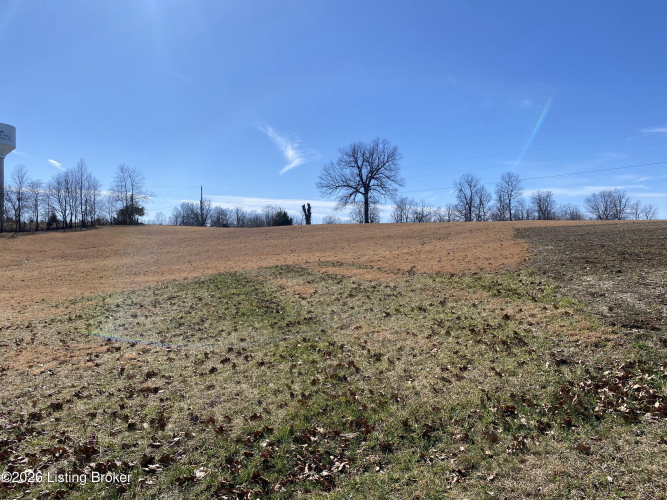 Listing Image 24